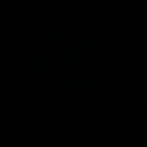 Meet your Posher, Dennis